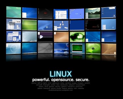 Linux虚拟主机介绍