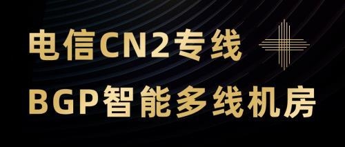 香港cn2站群服务器