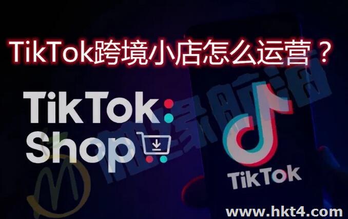 tiktok服务器企业识别码