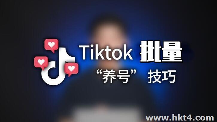 tiktok多ip服务器批量养号