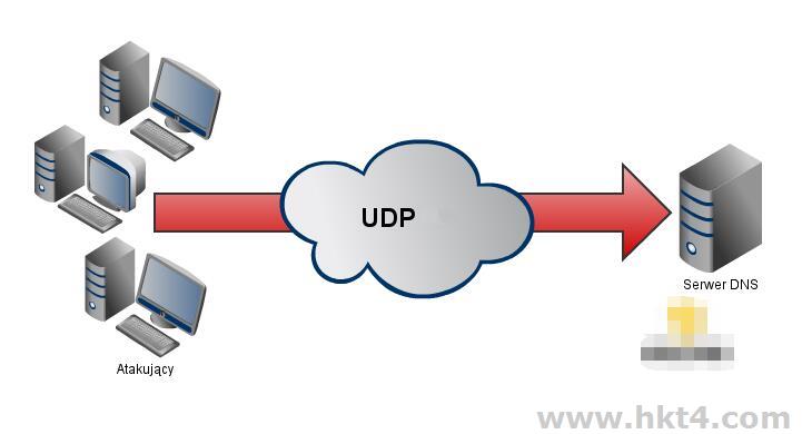 欧洲节点支持UDP