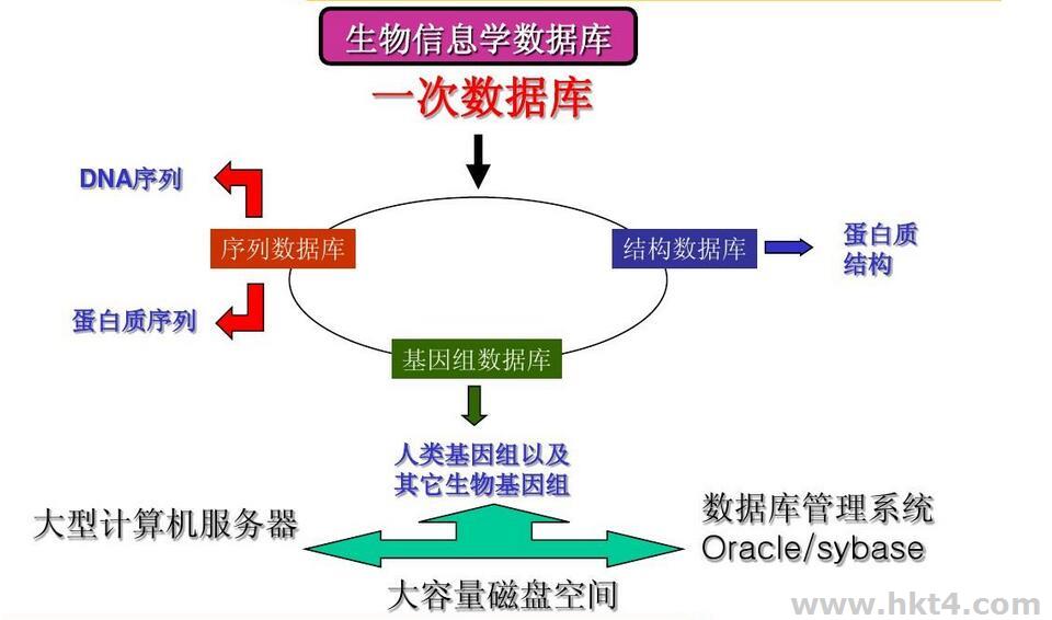 生信分析服务器配置