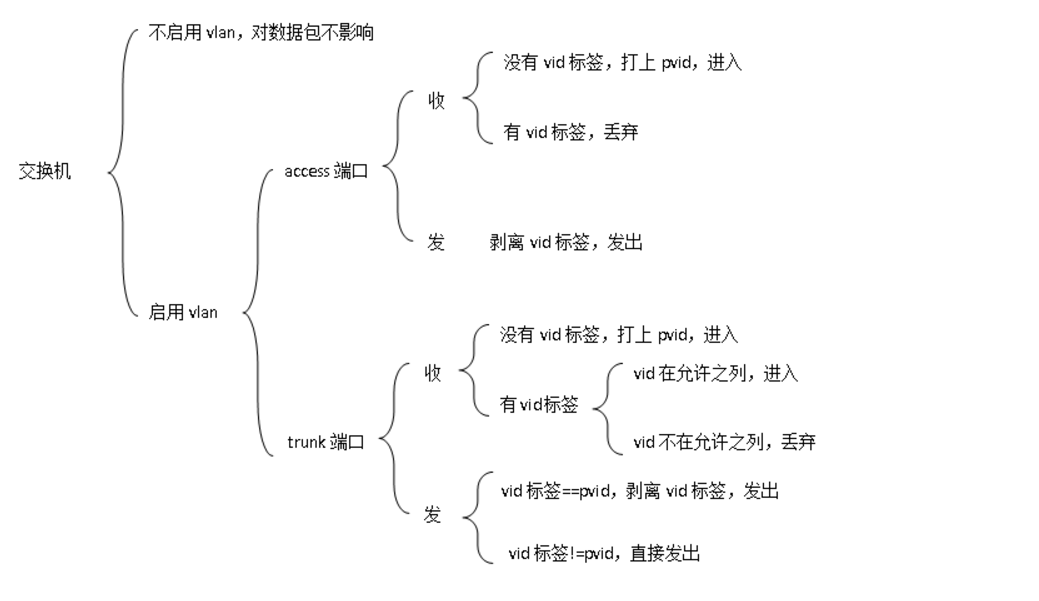 什么是 TRUNK